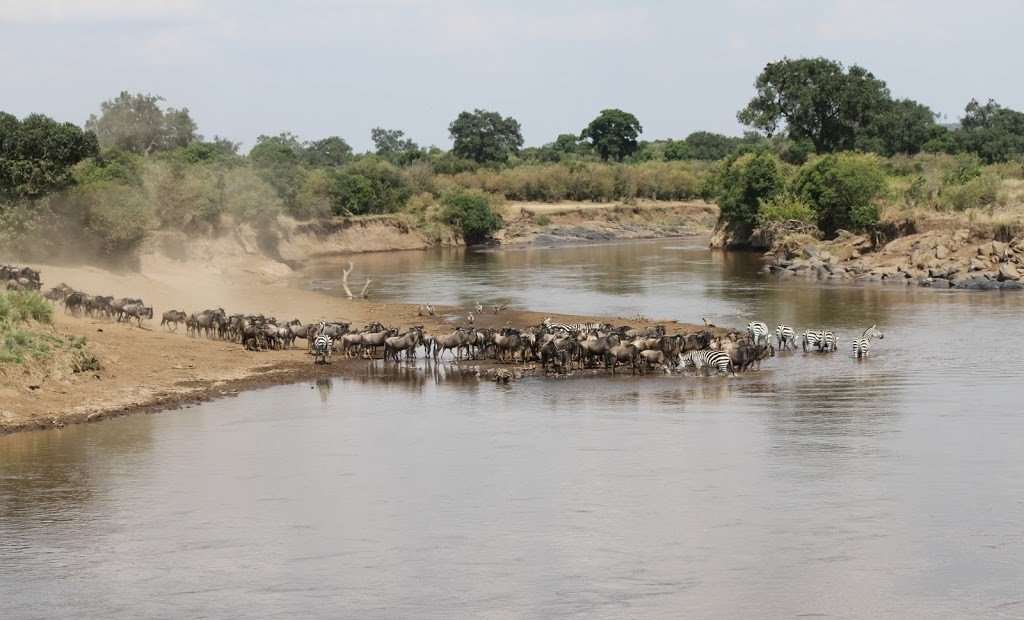Crossing the Mara River
